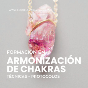 🌈 Armonización de Chakras | Formación Online