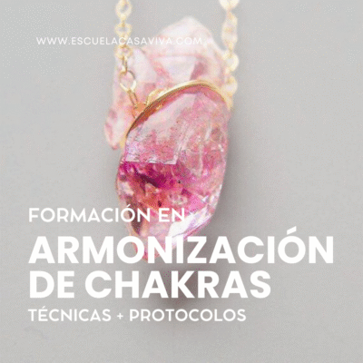🌈 Armonización de Chakras | Formación Online