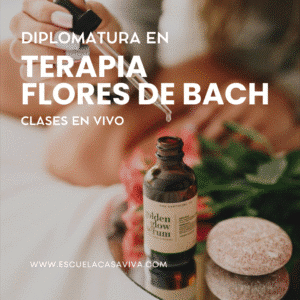 Inscripción · Diplomatura en Terapia Flores de Bach